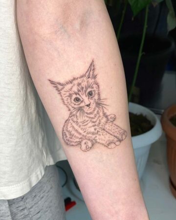 black and white tattoo on the arm thin lines kitten on the arm on the forearm graphics