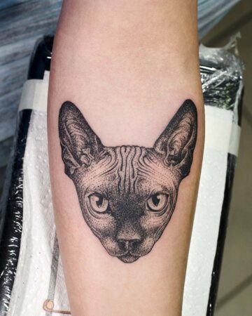 Detailed blackwork tattoo of a Sphynx cat head on a person's forearm, showcasing the breed's distinctive wrinkled skin and large ears.