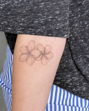 tattoo frangipani fine line black and grey dotwork whipshading single needle on the arm bali canggu