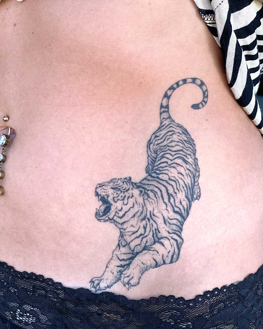 Detailed black ink tattoo of a roaring tiger on a woman's lower abdomen, showcasing intricate line work and shading. A decorative belly button piercing and black lace trim are also visible.