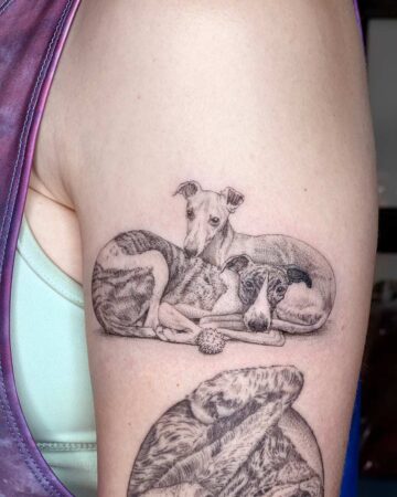 Detailed grayscale tattoo of two whippets dogs curled up together, one with brindle markings and the other solid, resting on a person's arm. A small ball lies nearby. This whippet tattoo is a beautiful example of whippet art and a pet memorial tattoo. Done by tattoo artists in our fine line tattoo studio parlour shop Canggu, Bali