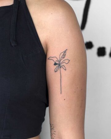 Delicate minimalist plant tattoo on a woman's arm. The small tattoo features a thin black outline of a plant stem and leaves, a stylish example of a minimalist tattoo. Done by tattoo artists in our fine line tattoo studio parlour shop Canggu, Bali