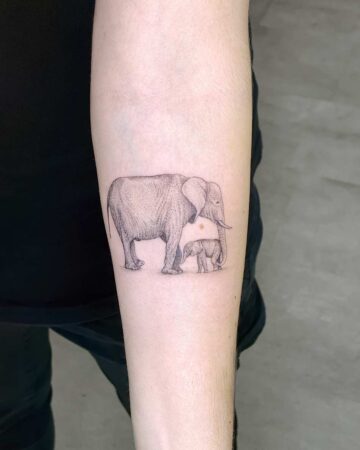 Delicate forearm tattoo of an adult elephant standing protectively next to its baby. The art uses fine lines and subtle shading to create a realistic, touching image.