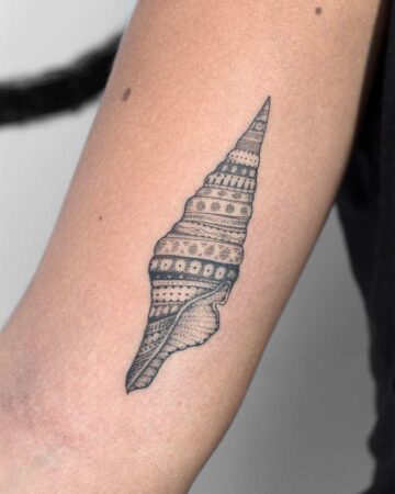 Detailed black ink tattoo of a turrid seashell on a forearm. The shell is adorned with intricate geometric and floral patterns.