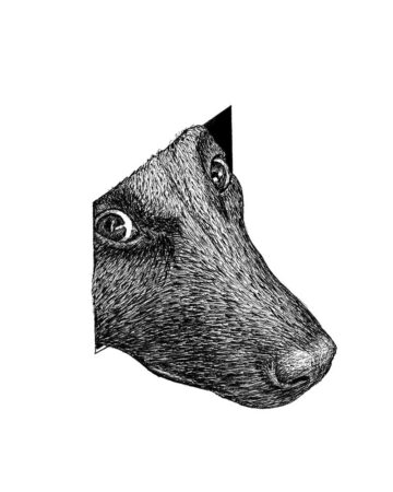 Detailed pen and ink illustration of a deer peering out from a dark corner, its eyes wide with curiosity. The textured fur and realistic detail showcase a forest animal in its natural wildlife habitat. Done by tattoo artists in our fine line tattoo studio parlour shop Canggu, Bali