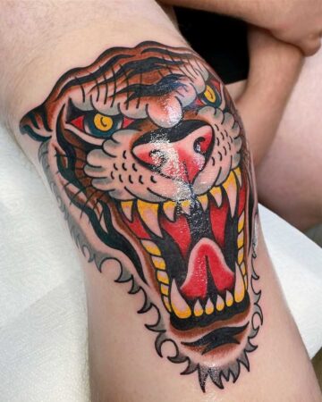 Vibrant color traditional tattoo of a fierce tiger head roaring on a knee, showcasing bold lines and bright yellow, red, and blue hues. Bali tattoo studio.