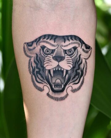 Close-up of a bold, black and gray tiger tattoo on an arm. The tiger's head is stylized with traditional tattoo linework and shading, roaring with visible teeth. A striking example of a lion tattoo design.