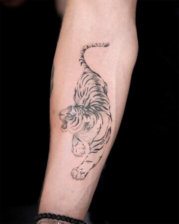Forearm tattoo of a stalking tiger with detailed line work. Part of a gallery of cat tattoos, including lion tattoos and leopard tattoos.