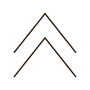 Create your own reality