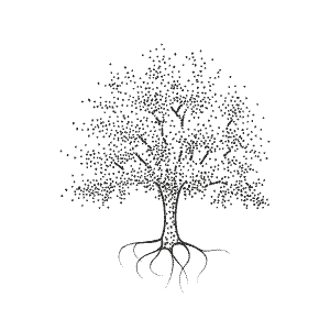 Tree of life / Family