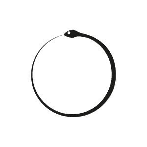 Ouroboros. The never-ending cycle of life, death, and rebirth, or the 