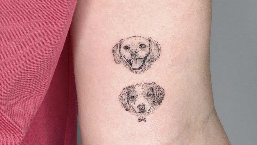 DOG TATTOO GALLERY