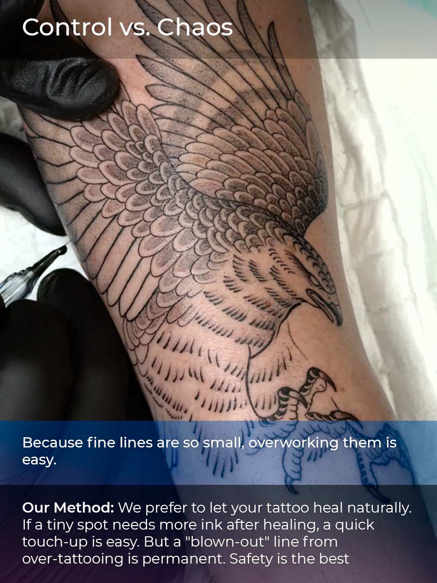 (Control vs. Chaos): Detailed fine line eagle tattoo in progress illustrating skin integrity and tattoo safety method.